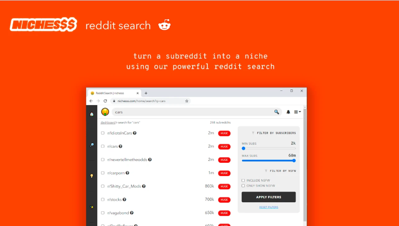 Nichesss reddit search